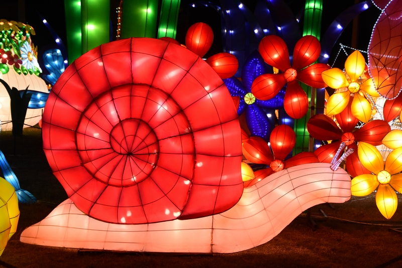 WONDERLAND A magical city of lights
